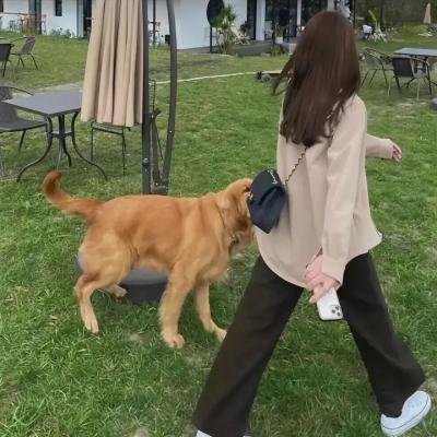 扑通扑通我的人生